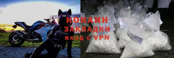 СК Алексин