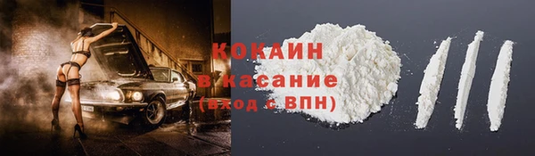 СК Алексин
