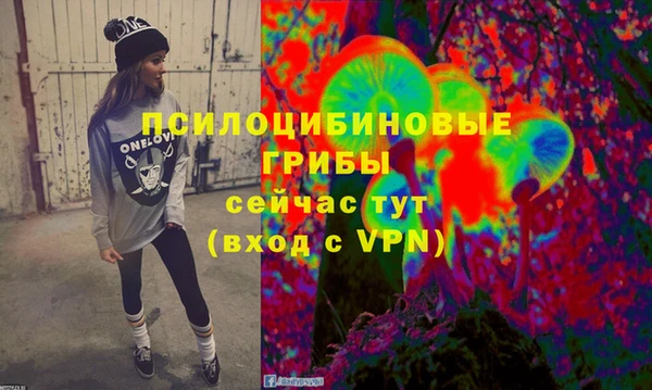 хмурый Михайловка
