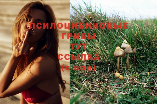 MESCALINE Алексеевка
